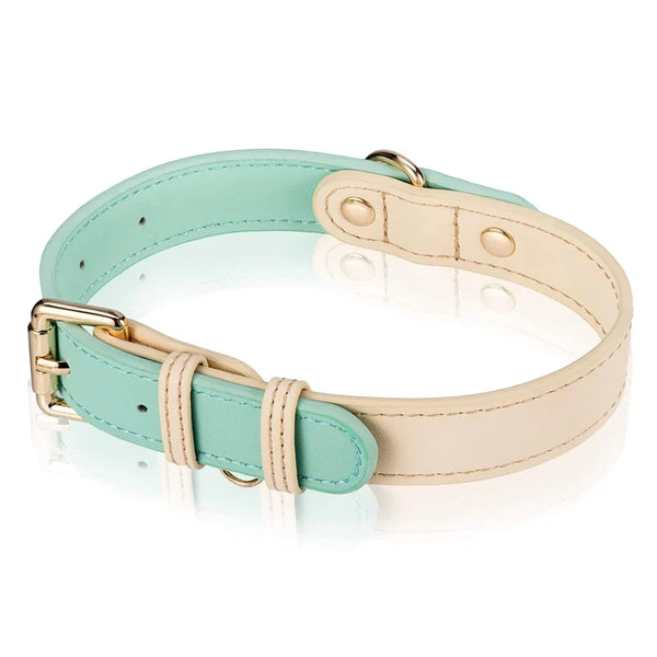 Collars, Leashes & Harnesses