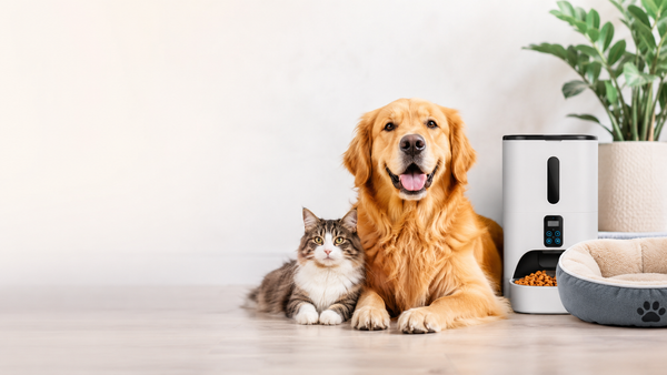 All Pets Products