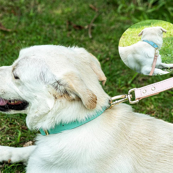 Dog Collar, Leather Dog Collar, For Small, Medium, And Large Dogs