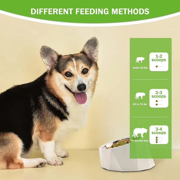 Pet Dental Powder - Freshens Breath, Protects Gums And Strengthens Teeth. An Essential For Daily Oral Care And General Dental Care.