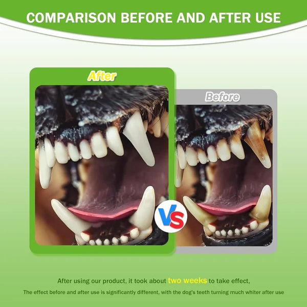 Pet Dental Powder - Freshens Breath, Protects Gums And Strengthens Teeth. An Essential For Daily Oral Care And General Dental Care.